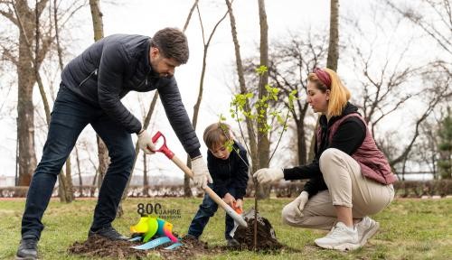 Symbolbild Baumpflanzaktion Symbolbild Baumpflanzaktion