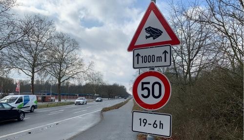 Amphibienwanderung Amphibienwanderung