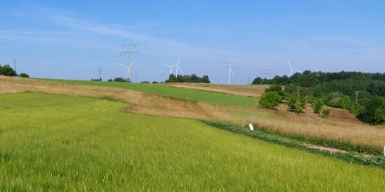 Blickpunkt 1.4 Unterdielbach-Grenzweg