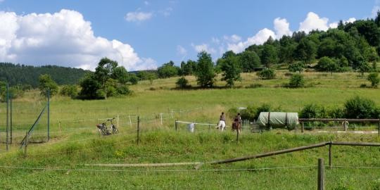 Blickpunkt 1.6 Pleutersbach