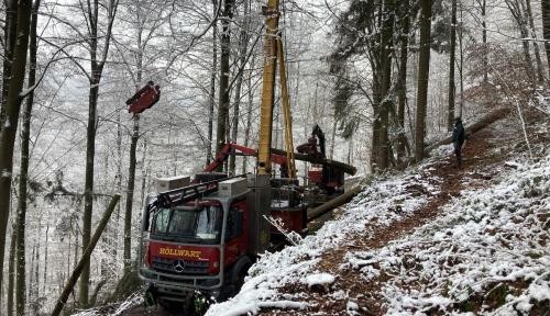Seilkran, der einen Stamm nach oben zieht Seilkran, der einen Stamm nach oben zieht